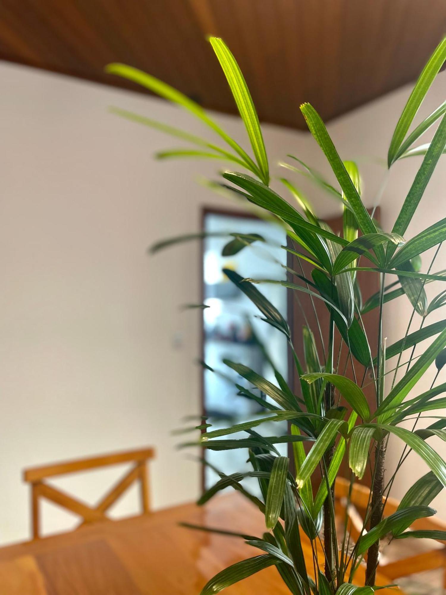 Casa Jabuticaba A 5 Min Dos Thermas E Hot Beach Olímpia Екстериор снимка